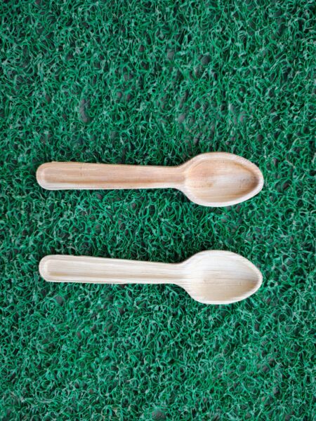 Areca Leaf Spoons